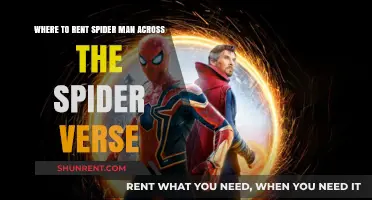 Rent Spider-Man: Across the Spider-Verse - Top Platforms & Tips