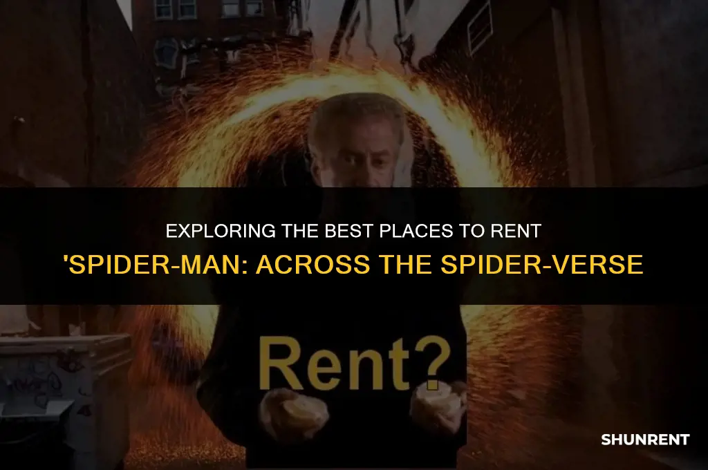 where to rent spiderman across the spiderverse