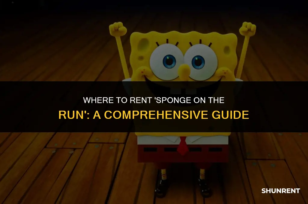 where to rent sponge on the run