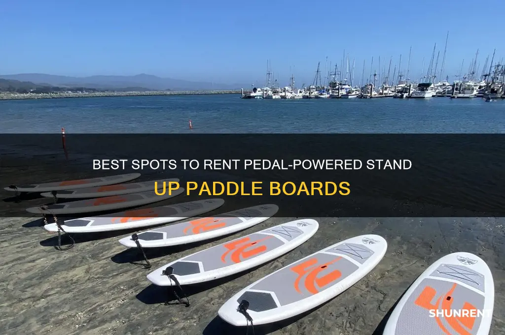 where to rent stand up paddle board with pedals