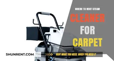 Top Spots to Rent Steam Cleaners for Carpet Cleaning