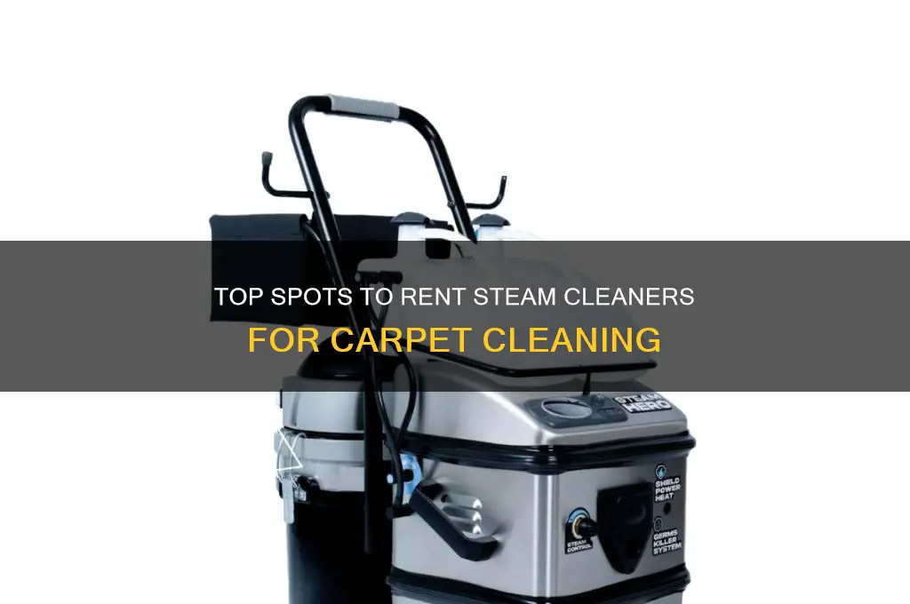where to rent steam cleaner for carpet