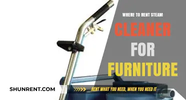 Revive Your Furniture: Top Spots to Rent Steam Cleaners Nearby