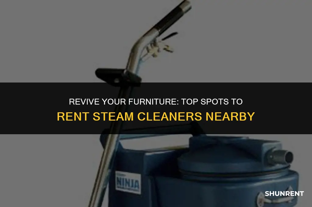 where to rent steam cleaner for furniture