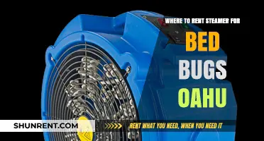 Oahu Bed Bug Steamer Rentals: Top Locations to Eliminate Infestations