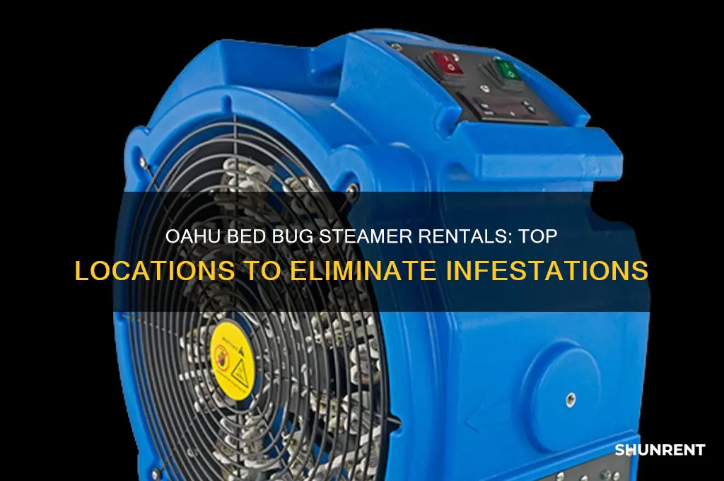 where to rent steamer for bed bugs oahu