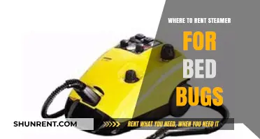 Effective Bed Bug Solutions: Where to Rent a Steamer