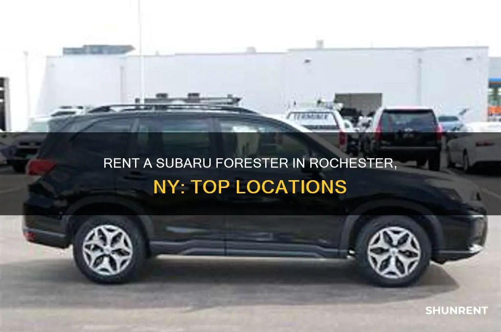 where to rent subaru forester in rochester ny