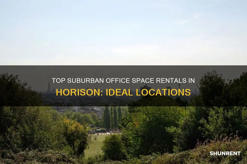 where to rent suburban office space in horison