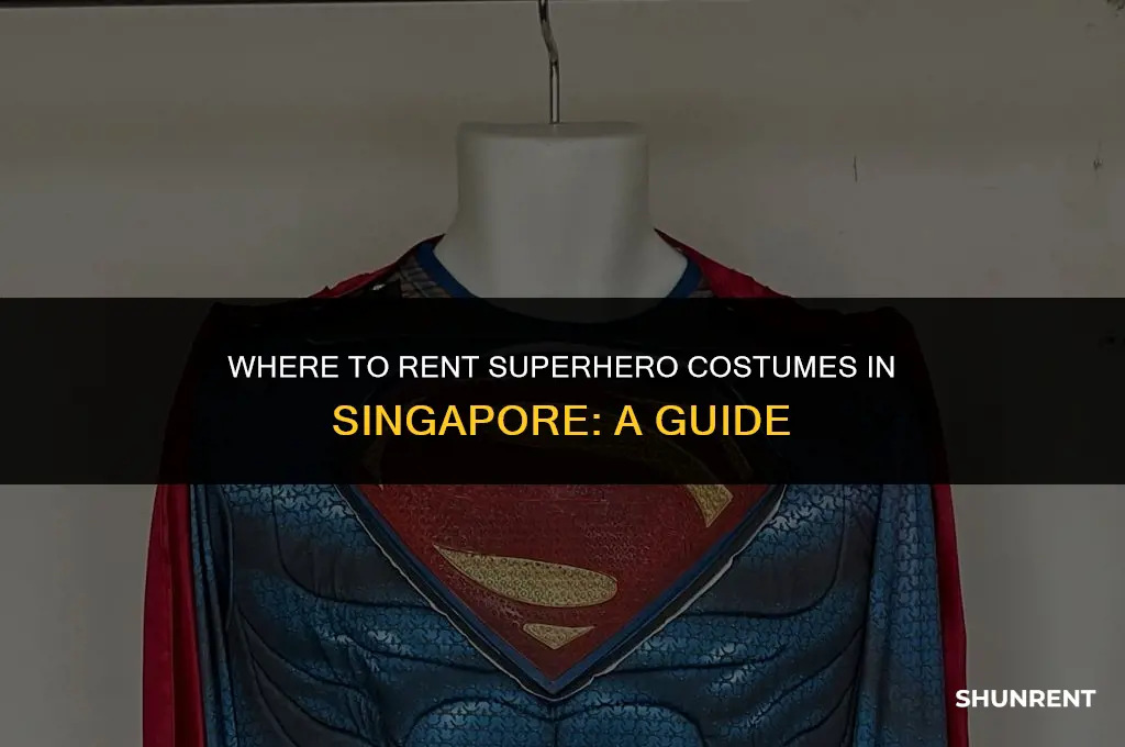 where to rent superhero costumes in singapore