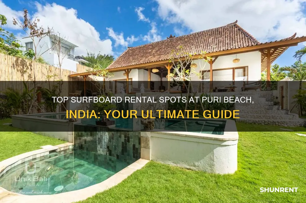 where to rent surfboard in puri beach india