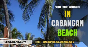 Surf's Up: Your Guide to Renting Boards at Cabangan Beach