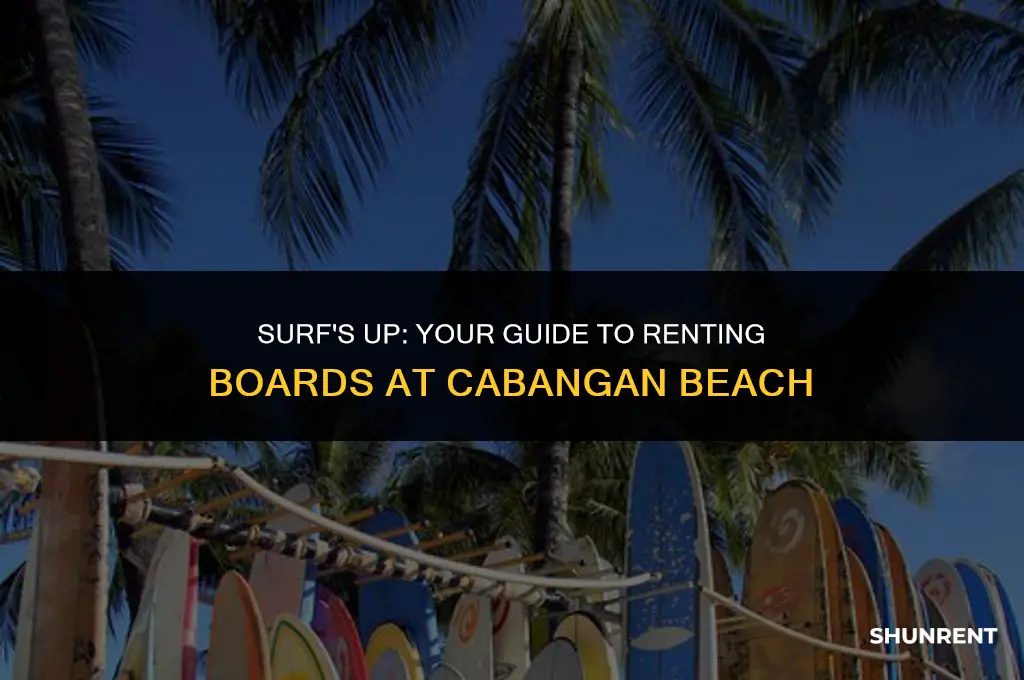 where to rent surfboards in cabangan beach