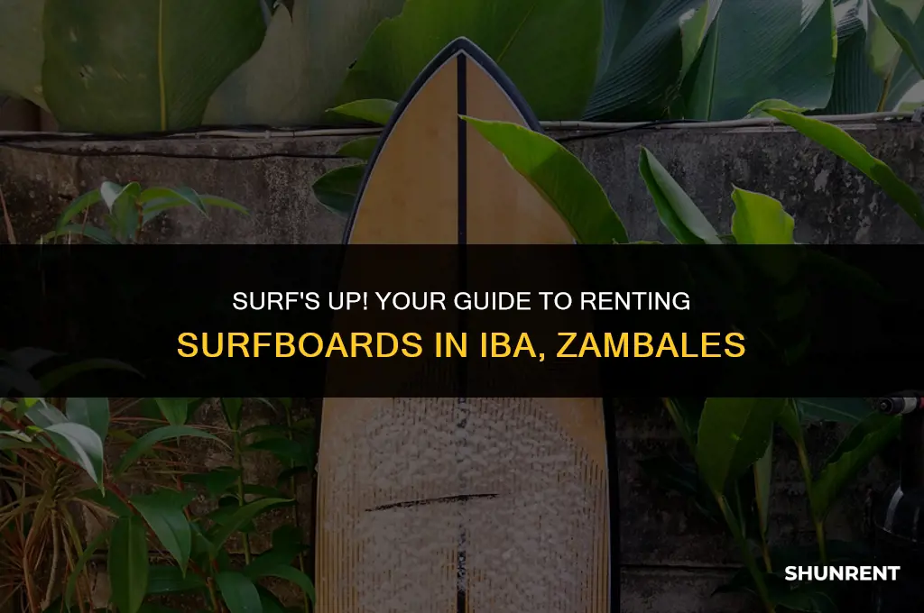 where to rent surfboards in iba zambales