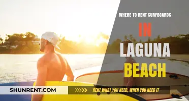 Ride the Waves: Your Guide to Surfboard Rentals in Laguna Beach