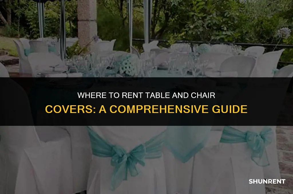 where to rent table and chair covers