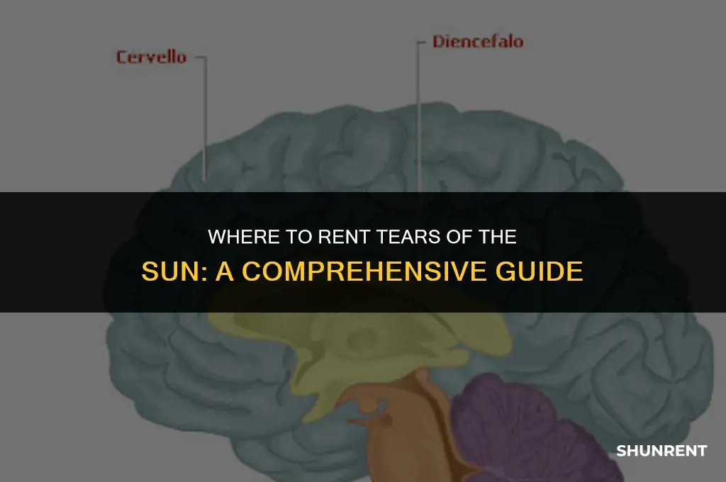 where to rent tears of the sun