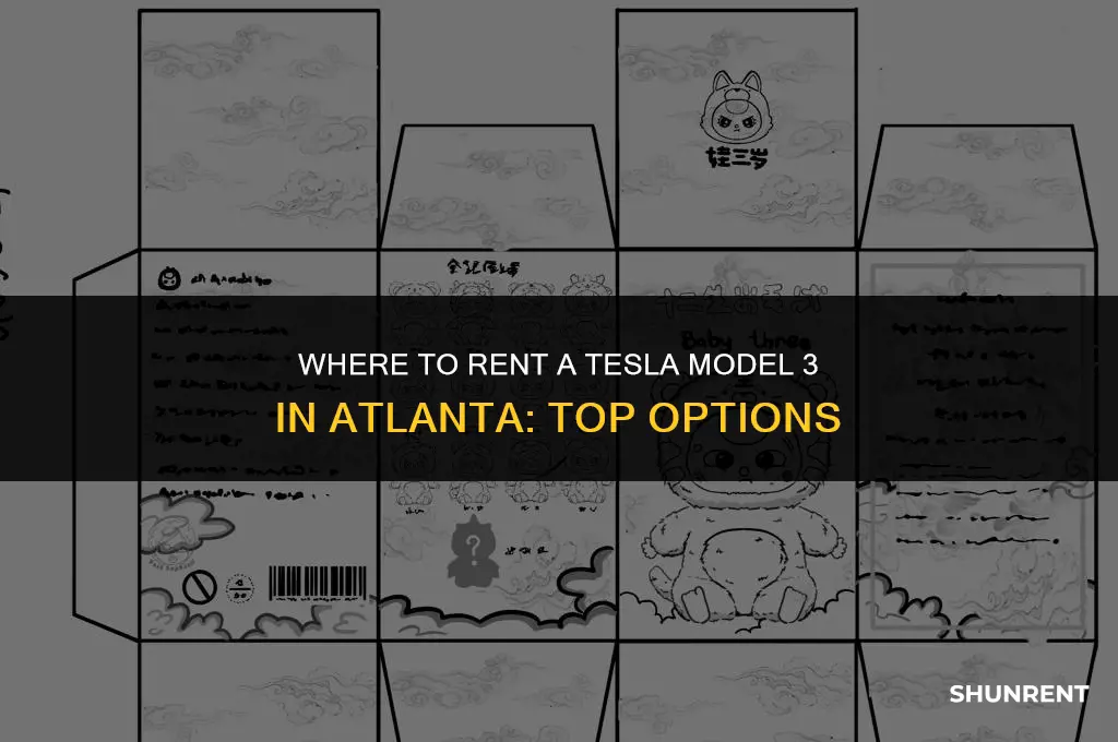 where to rent tesla model 3 atlanta