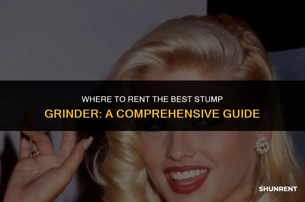 where to rent the best stump grinder