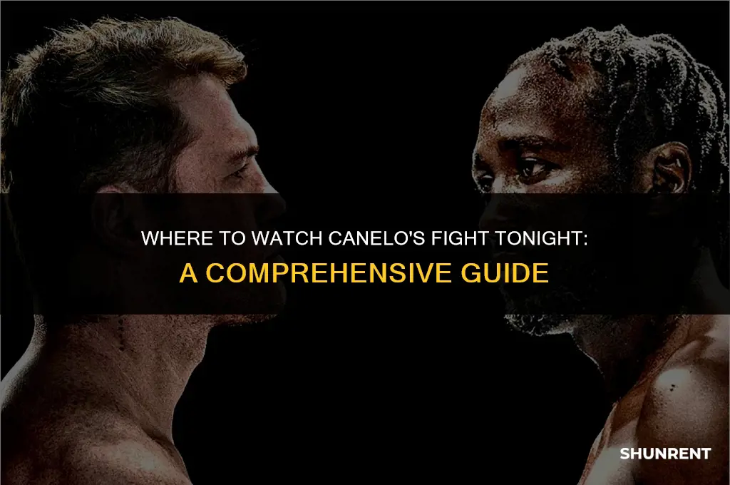 where to rent the canelo fight tonight