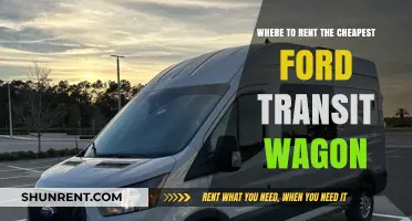 Affordable Ford Transit Wagon Rentals: Top Locations for Budget Travelers
