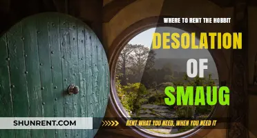 Rent The Hobbit: Desolation of Smaug - Top Platforms Guide