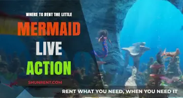 Where to Rent The Little Mermaid Live-Action: Top Platforms