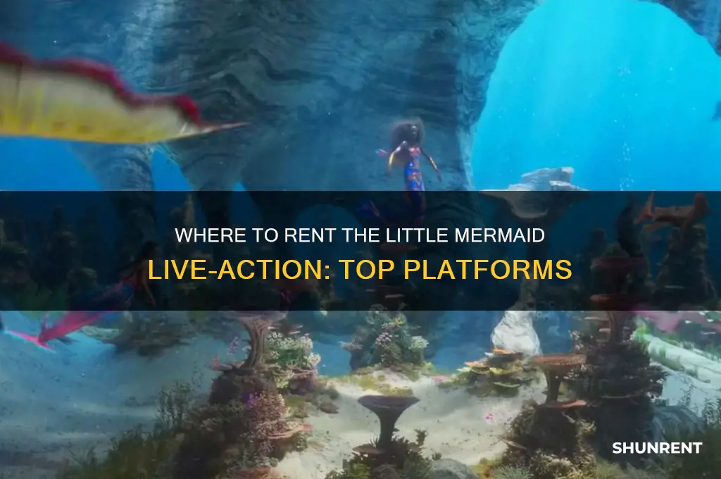 where to rent the little mermaid live action