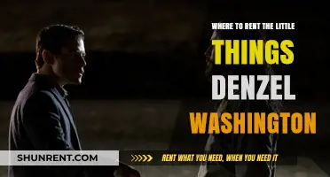 Rent 'The Little Things' Starring Denzel Washington: Top Platforms