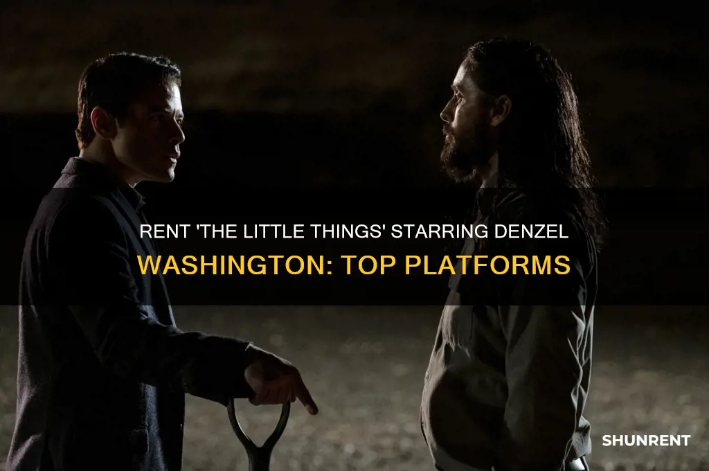 where to rent the little things denzel washington