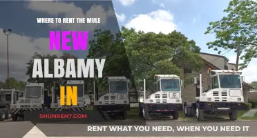 Discover Top Mule Rental Spots in New Albany, Indiana