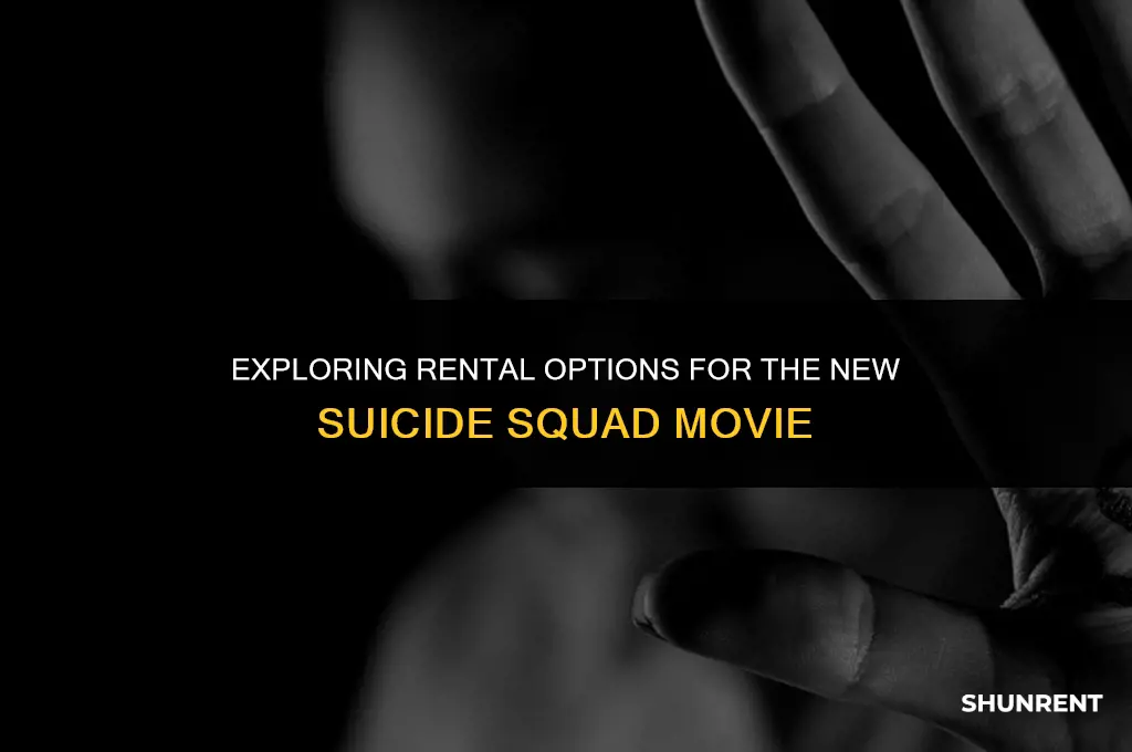 where to rent the new suicide squad