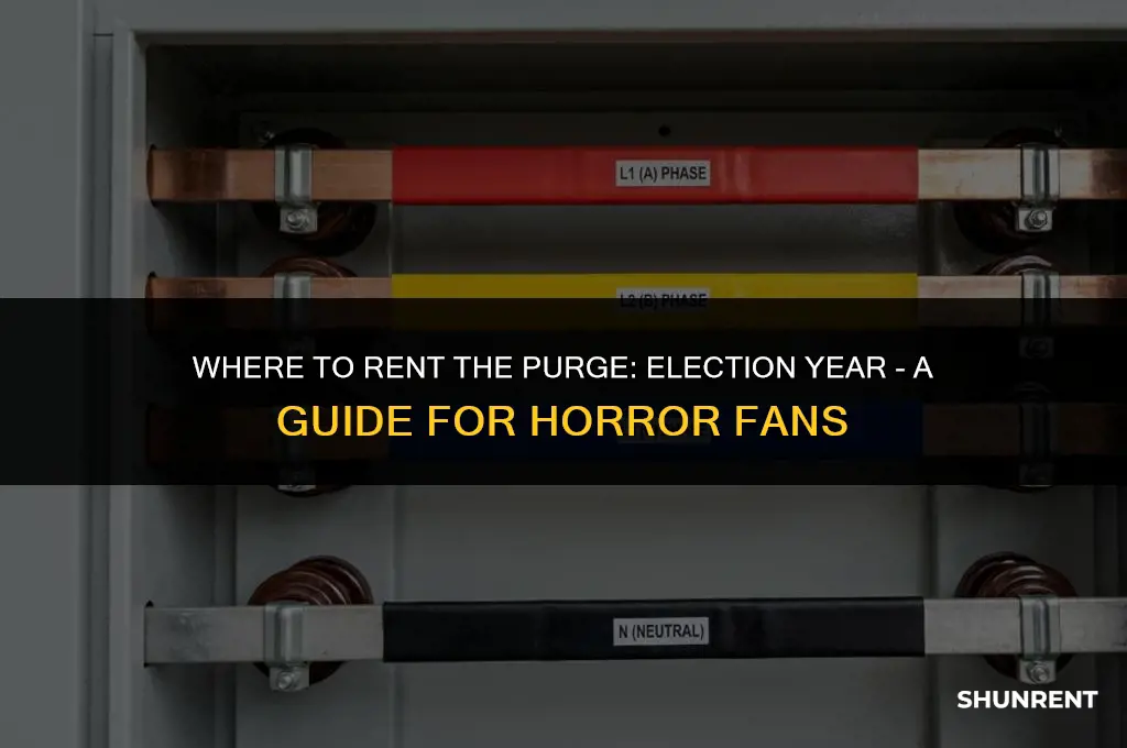 where to rent the purge election year