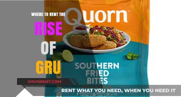 Where to Rent 'The Rise of Gru': A Comprehensive Guide