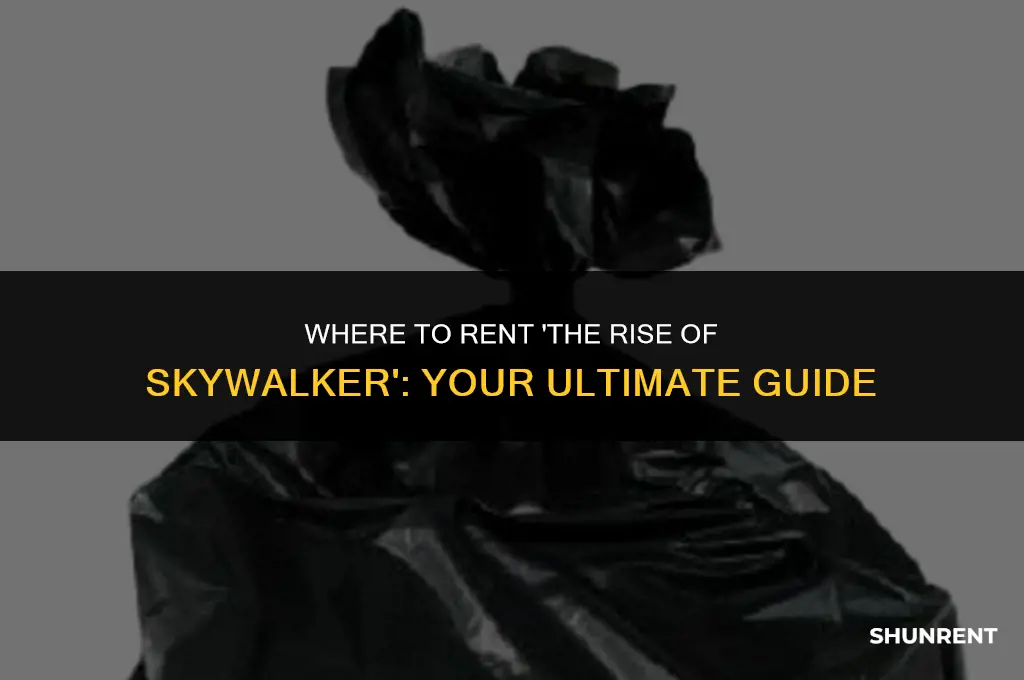 where to rent the rise of skywalker
