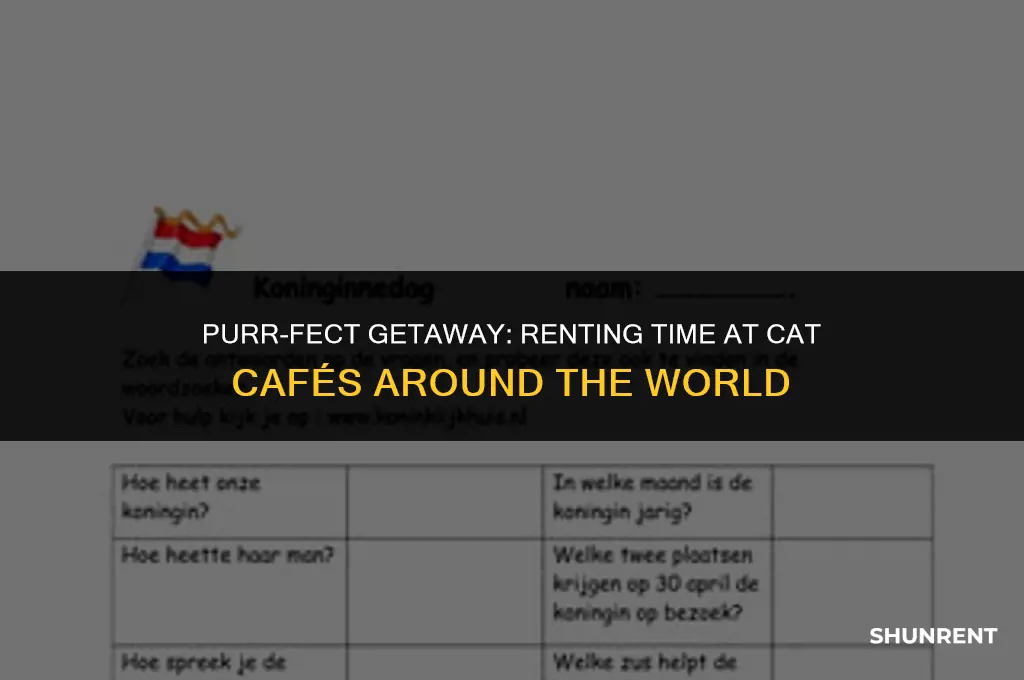 where to rent the time is meow