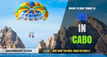 Top Cabo Rental Activities: Explore, Adventure, and Relax in Style
