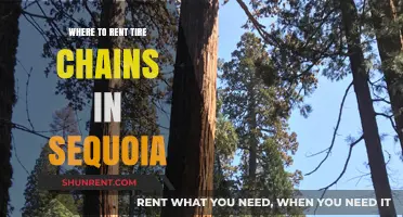Exploring Sequoia: Your Guide to Renting Tire Chains Nearby