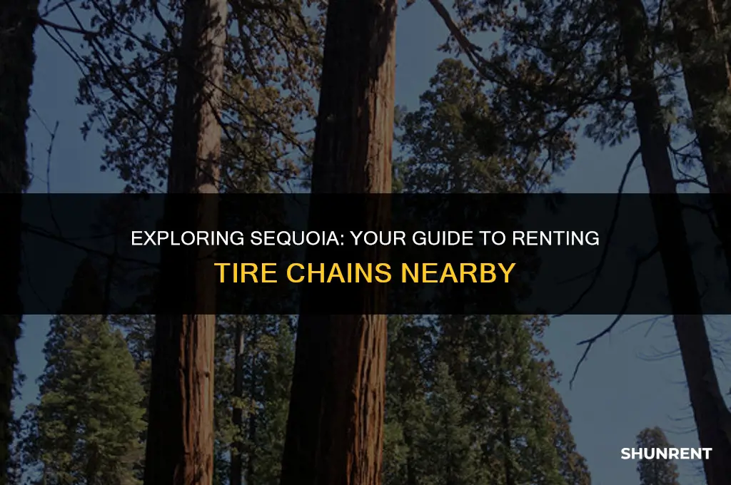 where to rent tire chains in sequoia