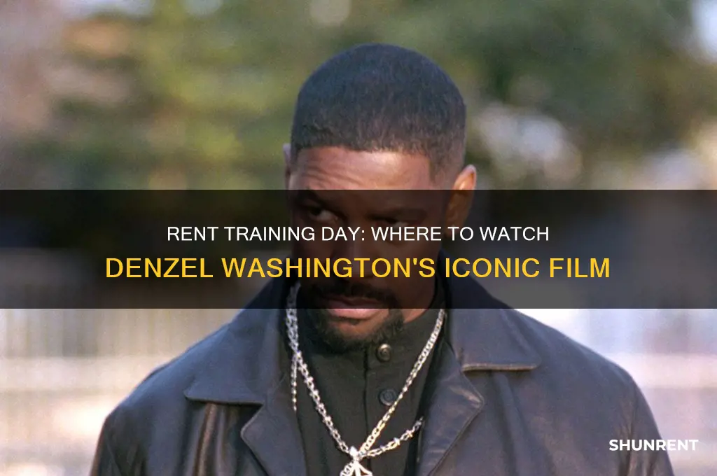where to rent training day with denzel washington