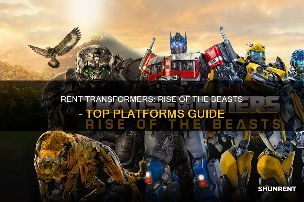where to rent transformers rise of the beast