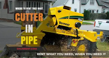 Renting Tree Root Cutters for Pipe Clearing: Your Ultimate Guide