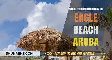 Eagle Beach Aruba Umbrella Rentals: Your Guide to Staying Shady