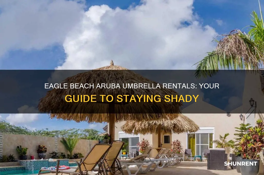 where to rent umbrellas on eagle beach aruba