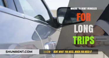 Exploring the Best Options for Long-Term Vehicle Rentals