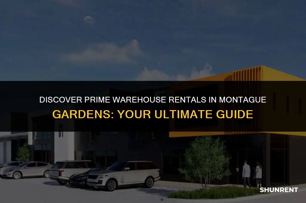 where to rent warehouse in montague gardens