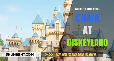Exploring Disneyland: Your Guide to Renting Wheelchairs for a Magical Day