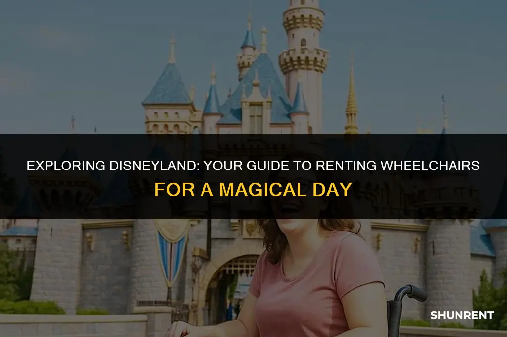 where to rent wheel chair at disneyland