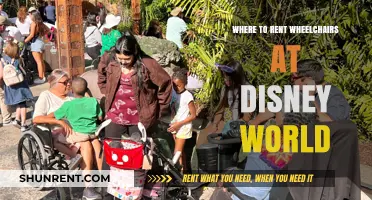 Exploring Disney World: Your Guide to Renting Wheelchairs