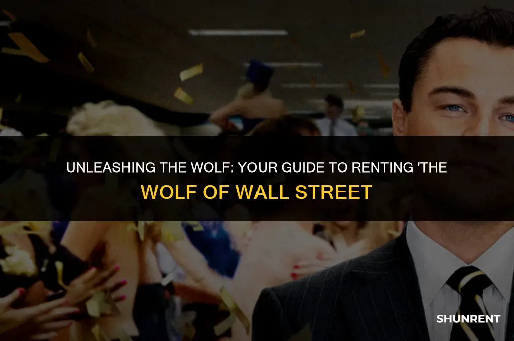 where to rent wolf of wall street